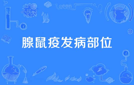 腺鼠疫发病部位