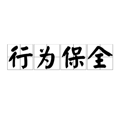 行为保全