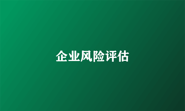 企业风险评估
