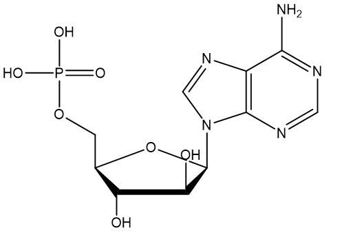 单磷酸阿糖腺苷