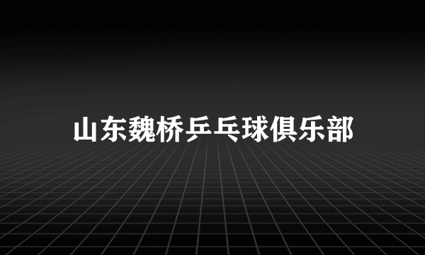 山东魏桥乒乓球俱乐部
