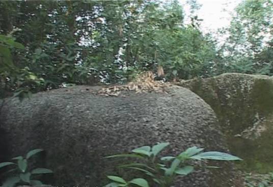 龙石村（广东省揭阳市榕城区下辖村）