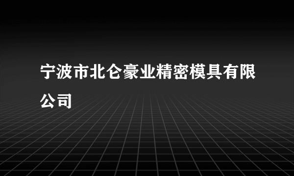 宁波市北仑豪业精密模具有限公司