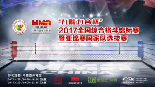 全国综合格斗锦标赛