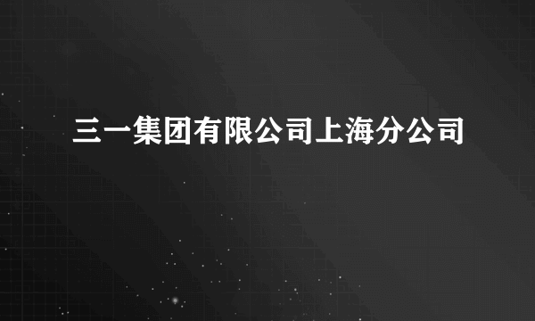 三一集团有限公司上海分公司