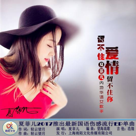 留不住爱情留不住你（夏菲儿演唱的歌曲）
