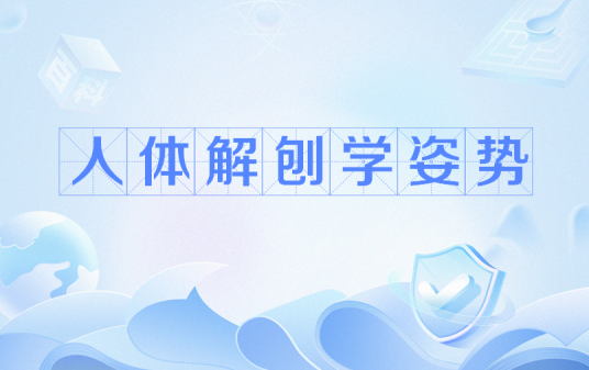 人体解剖学姿势