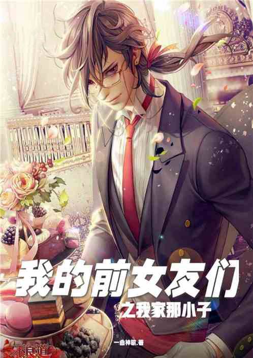 我家那小子之我的前女友们