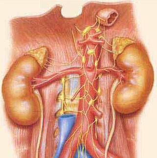 无症状性蛋白尿