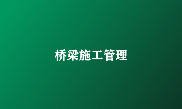 桥梁施工管理