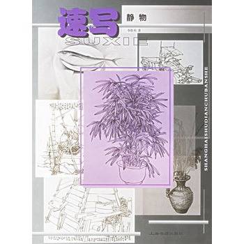 速写静物