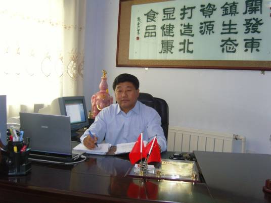 张显（农民企业家）