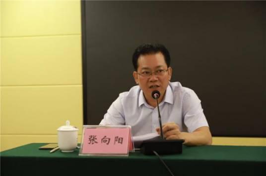 张向阳（广东省湛江市赤坎区委书记）