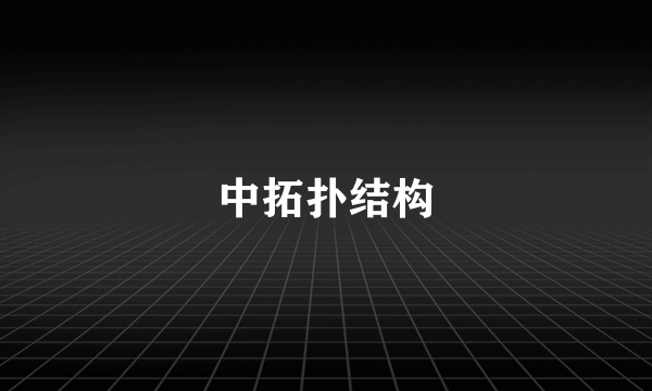 中拓扑结构