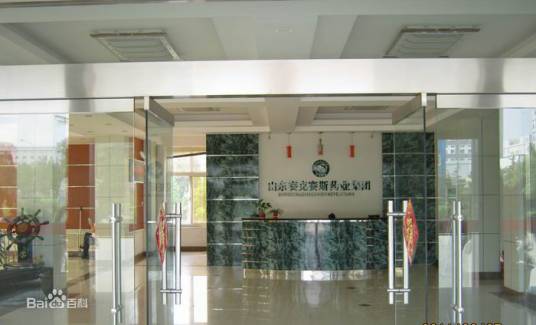 山东赛克赛斯控股发展有限公司