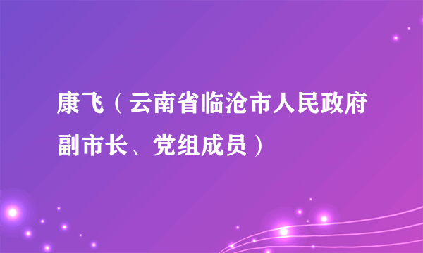康飞（云南省临沧市人民政府副市长、党组成员）