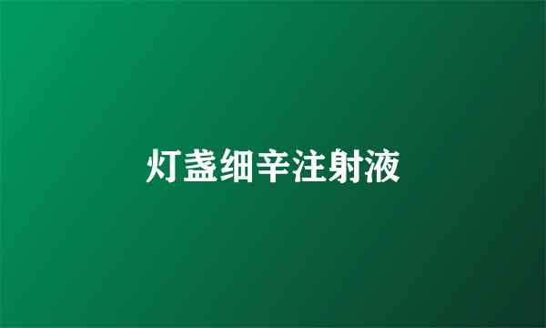 灯盏细辛注射液