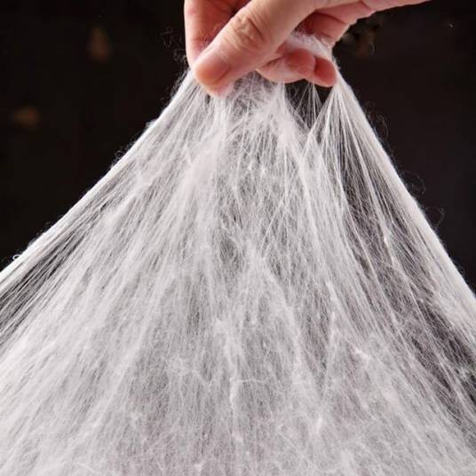 茧丝（蚕宝宝结茧的时候吐的丝）