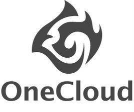 亦云（从事中国政务云、行业云、企业云建设的企业）