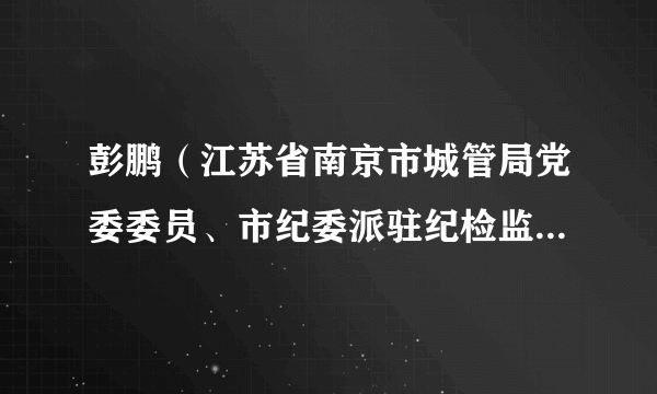 彭鹏（江苏省南京市城管局党委委员、市纪委派驻纪检监察组组长）