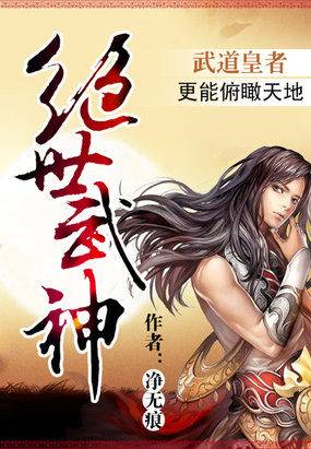 绝世武神（净无痕创作的玄幻类网络小说）
