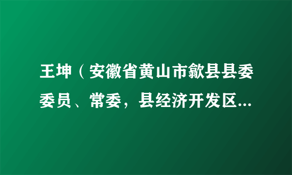 王坤（安徽省黄山市歙县县委委员、常委，县经济开发区党工委书记、管委会主任）