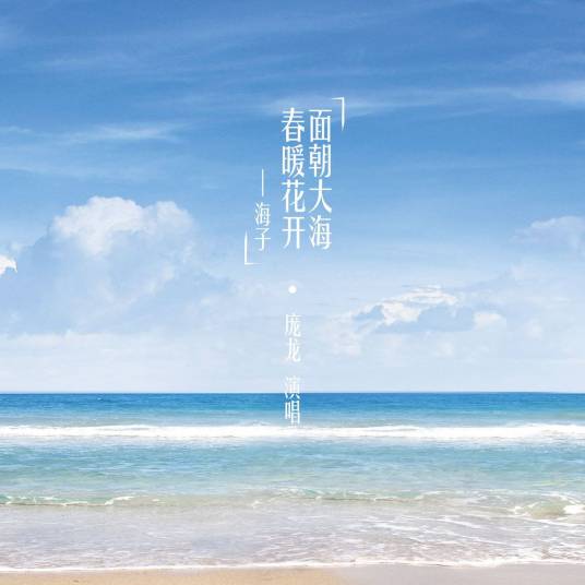 面朝大海，春暖花开（庞龙演唱歌曲）
