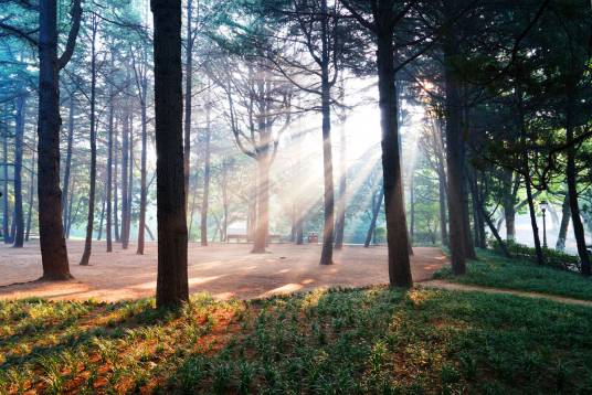 丁达尔效应（光的散射现象）