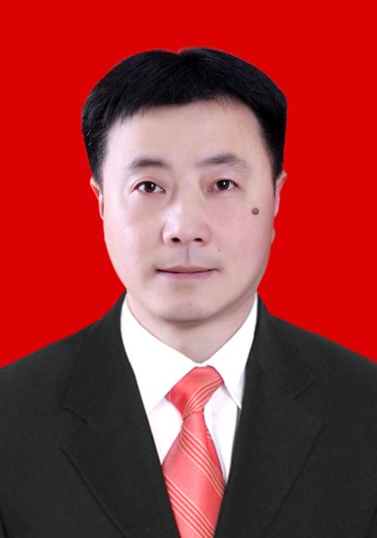 王飞（陕西省宁陕县委常委、纪委书记，县监察委员会主任）