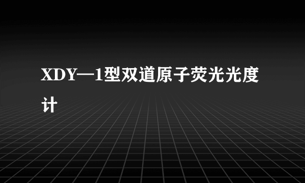 XDY—1型双道原子荧光光度计
