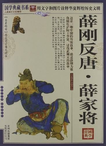 薛刚反唐·薛家将（2010年吉林出版集团出版的图书）