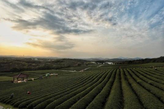 宜兴市现代农业产业示范园