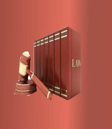 法律（立法机关或国家机关制定，国家政权保证执行的行为规则的总称）