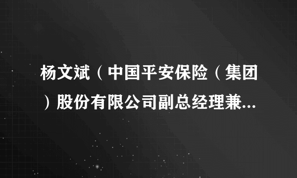杨文斌（中国平安保险（集团）股份有限公司副总经理兼首席投资执行官）