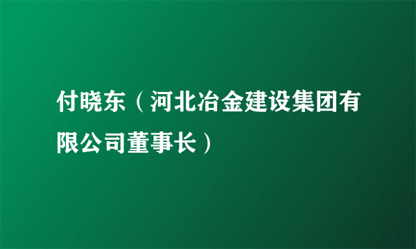 付晓东（河北冶金建设集团有限公司董事长）