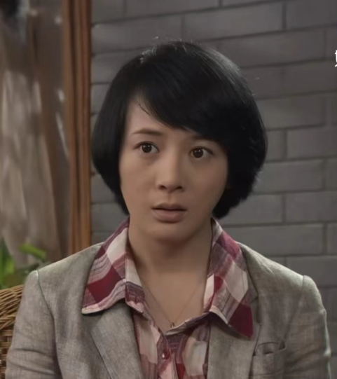 程丹（电视剧《美丽谎言》角色）