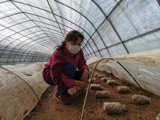 杨秀丽（乳山市南黄镇院后村党支部书记、村委会主任）