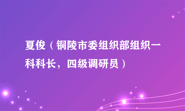 夏俊（铜陵市委组织部组织一科科长，四级调研员）