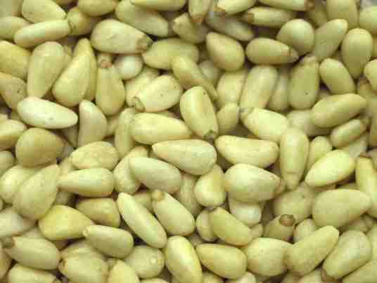 松子（植物种子）