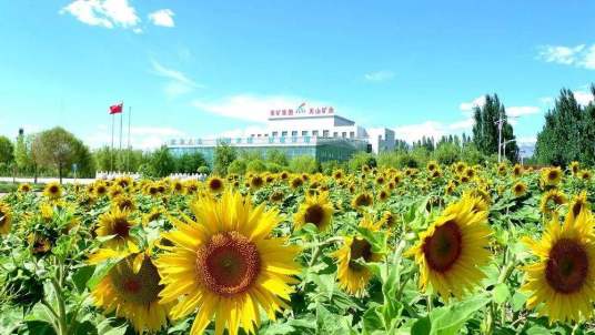 徐州矿务（集团）新疆天山矿业有限责任公司