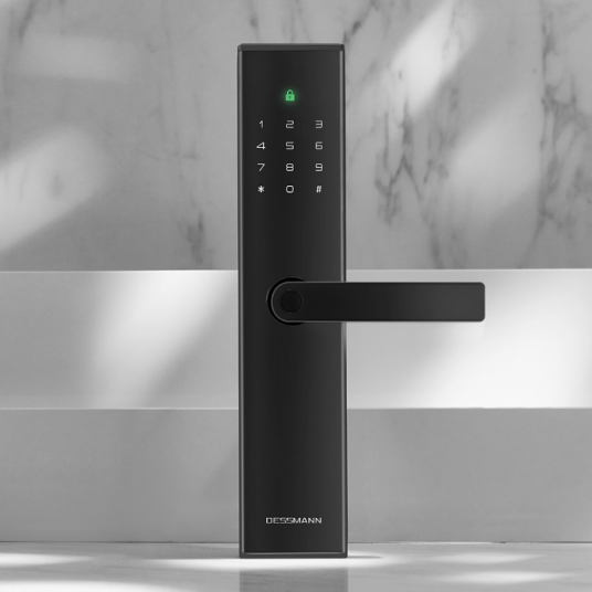德施曼指纹锁
