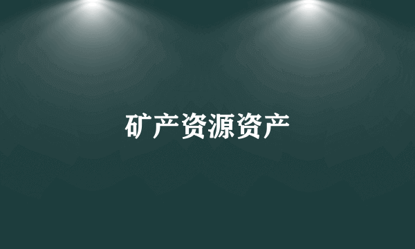 矿产资源资产