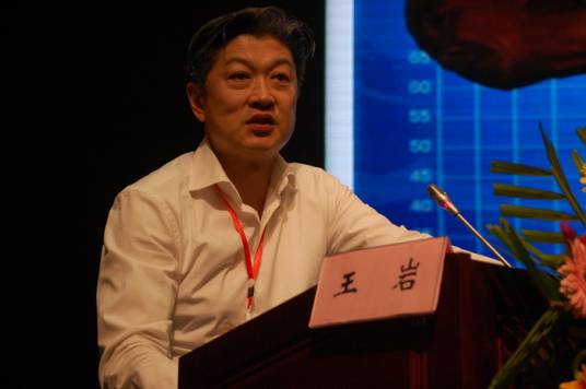 王岩（青海大学教师）