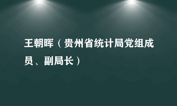 王朝晖（贵州省统计局党组成员、副局长）