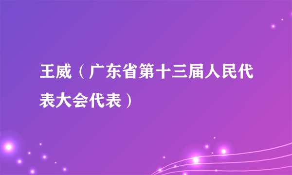 王威（广东省第十三届人民代表大会代表）