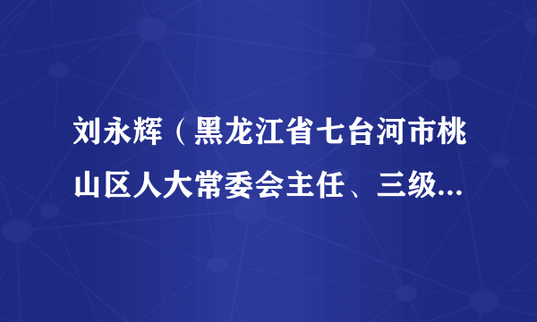 刘永辉（黑龙江省七台河市桃山区人大常委会主任、三级调研员）