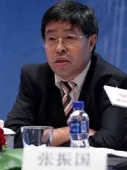 张振国（顾地科技董事、总经理）