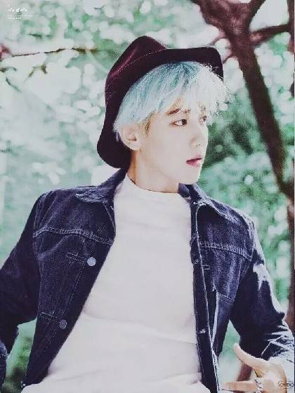 边总裁的挂名妻