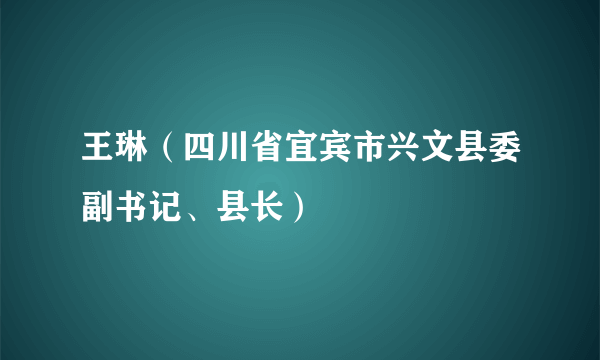 王琳（四川省宜宾市兴文县委副书记、县长）