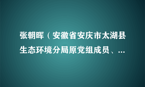 张朝晖（安徽省安庆市太湖县生态环境分局原党组成员、生态环境保护综合行政执法大队原大队长）
